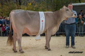003k-Junior Miss Biver Beverly Josef Hofstetter AR8I7993